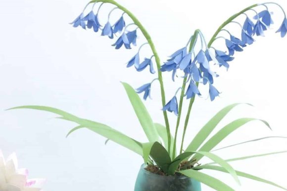 3D Paper Bluebell Embroidery Review